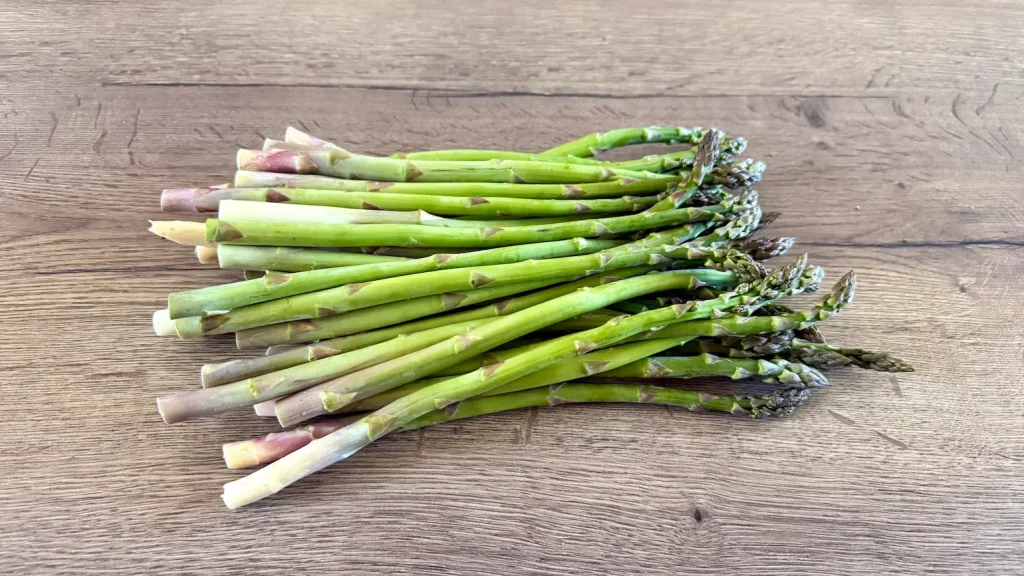Asperges vertes du Lauragais